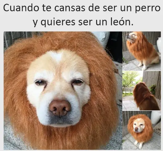 humor de Lunes