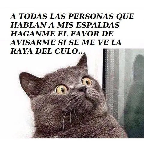 imagenes divertidas