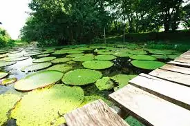 naturaleza