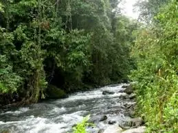 colombia tierra querida