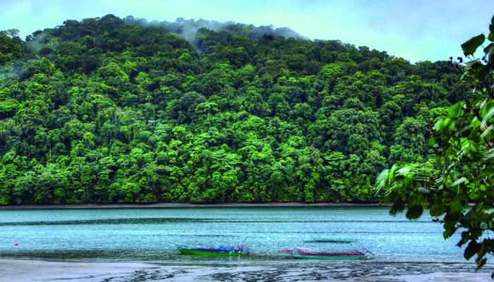 naturaleza