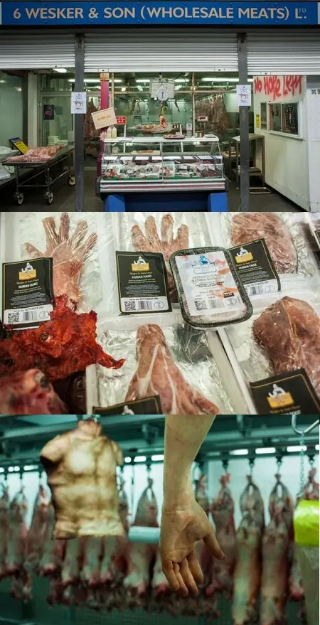 el mundo
