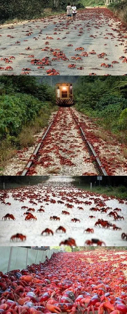 imagenes impresionantes