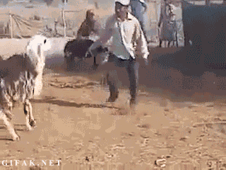 Cuando todo puede salir mal