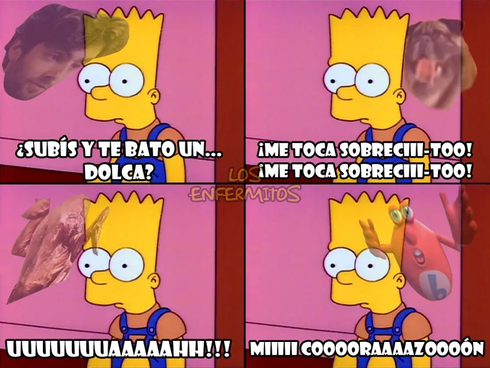 fotos