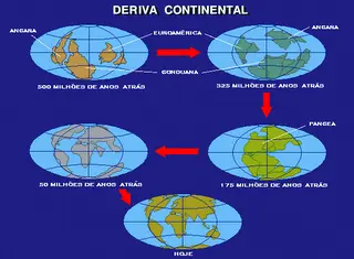 desarrollo
