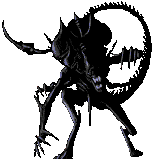 paranormal