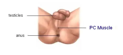 agrandar agrandar