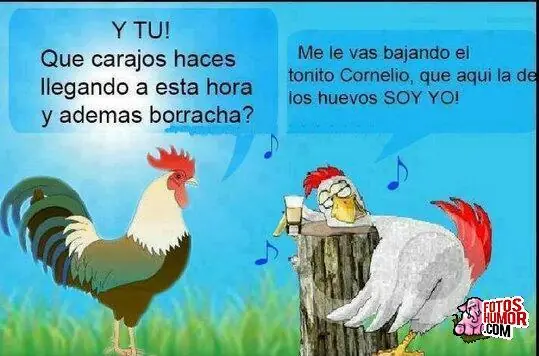 imagenes divertidas