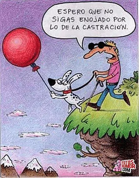 imagenes divertidas