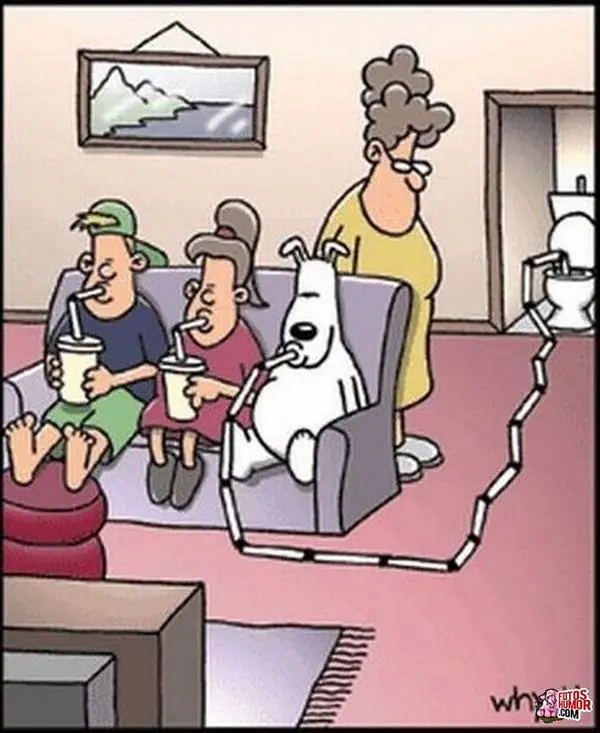 imagenes divertidas