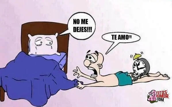 Humor de Miércoles
