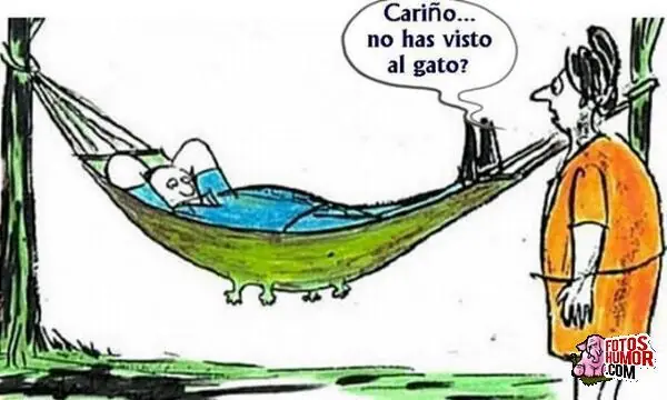 Humor de Miércoles
