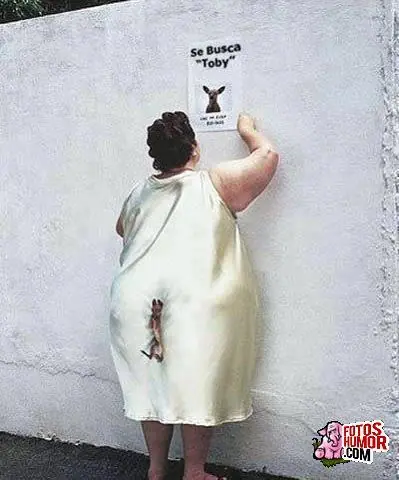 humor