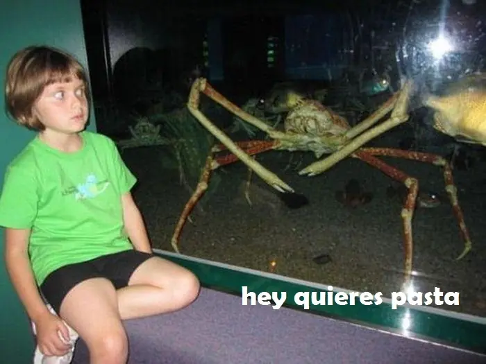 compilado