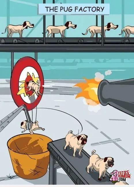 humor de Miercoles