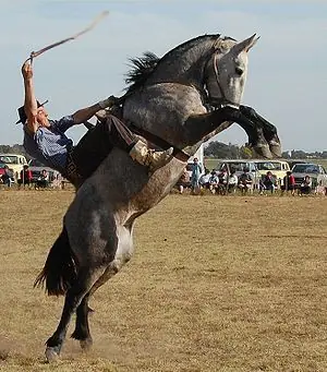 MegaPost