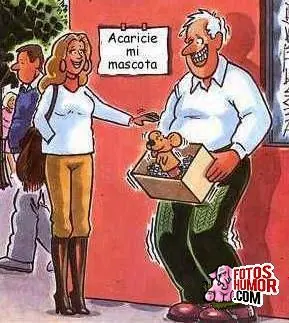 Humor de Miércoles