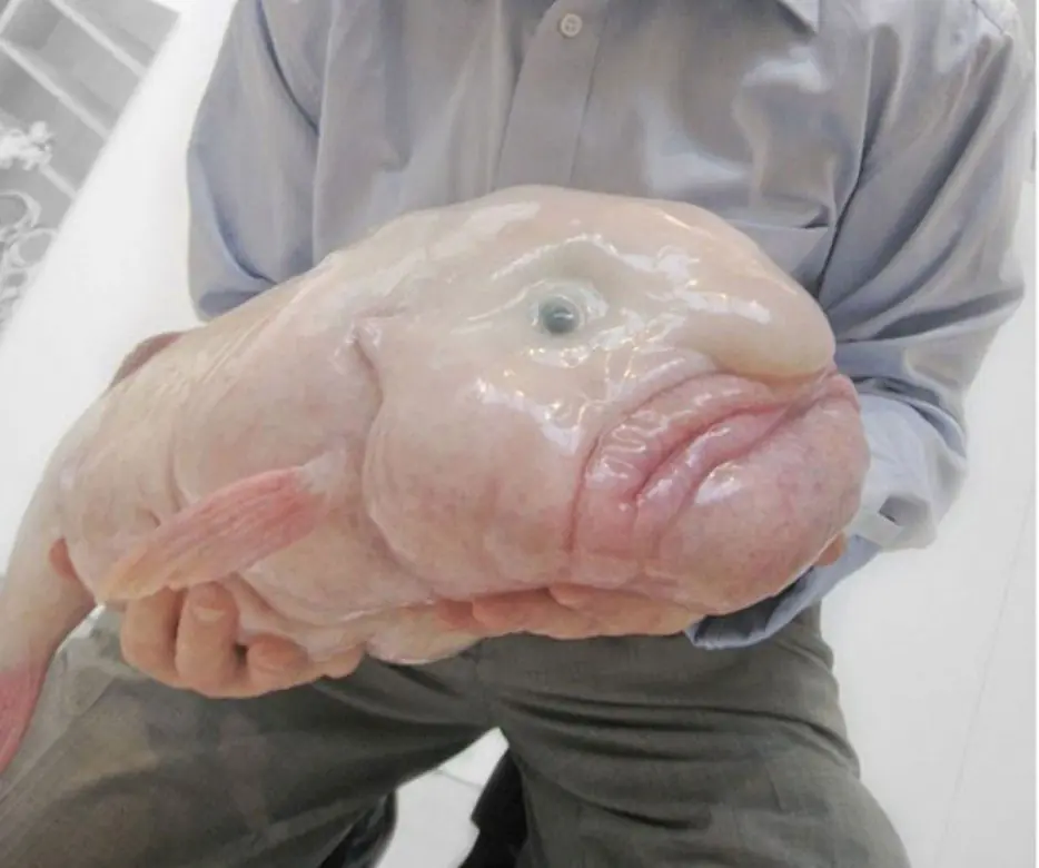 Oceano