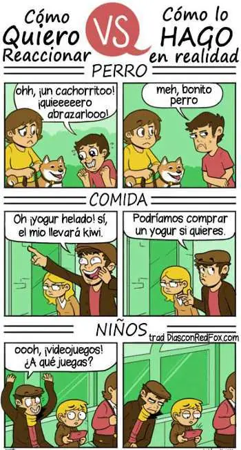chistes taringueros