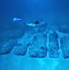 Sunfish