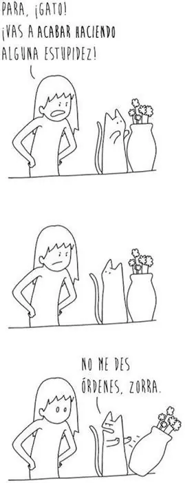 humor