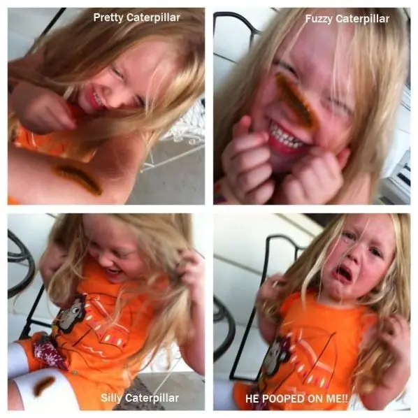 humor