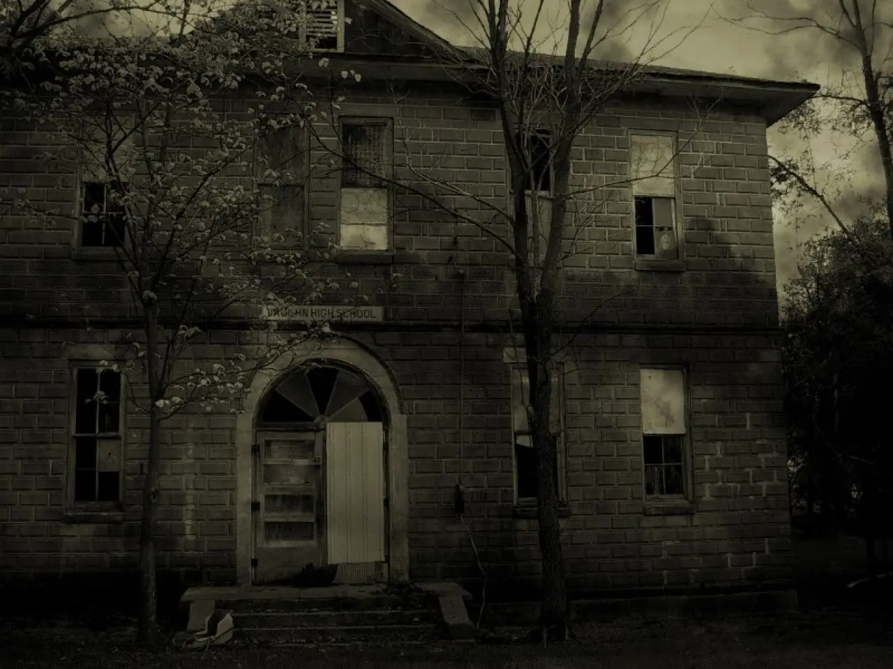 la noche de terror taringuera