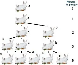 Lo que no te enseñaron en la escuela: geometría sagrada Lo que no te enseñaron en la escuela: geometría sagrada