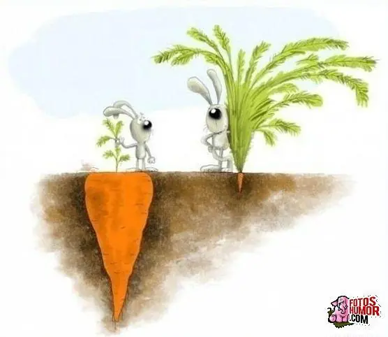 imagenes divertidas