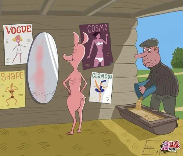 imagenes divertidas