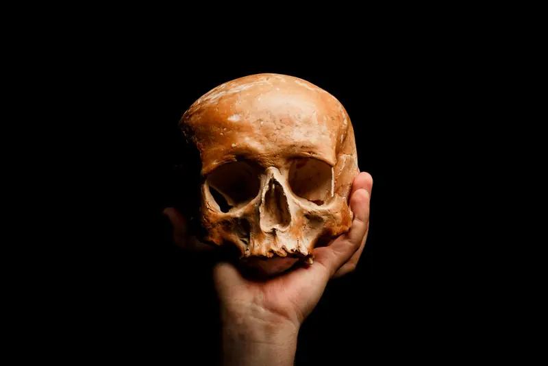 Humanos asesinos de Hobbits