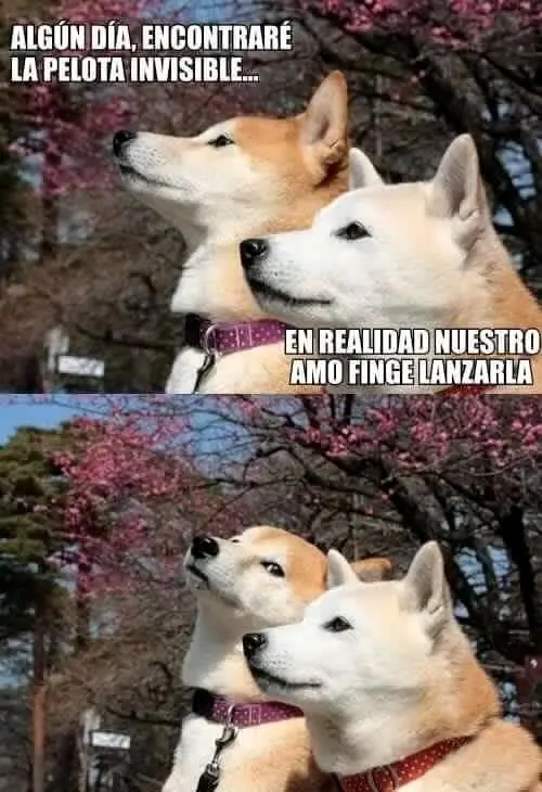 humor