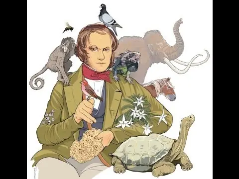 darwin