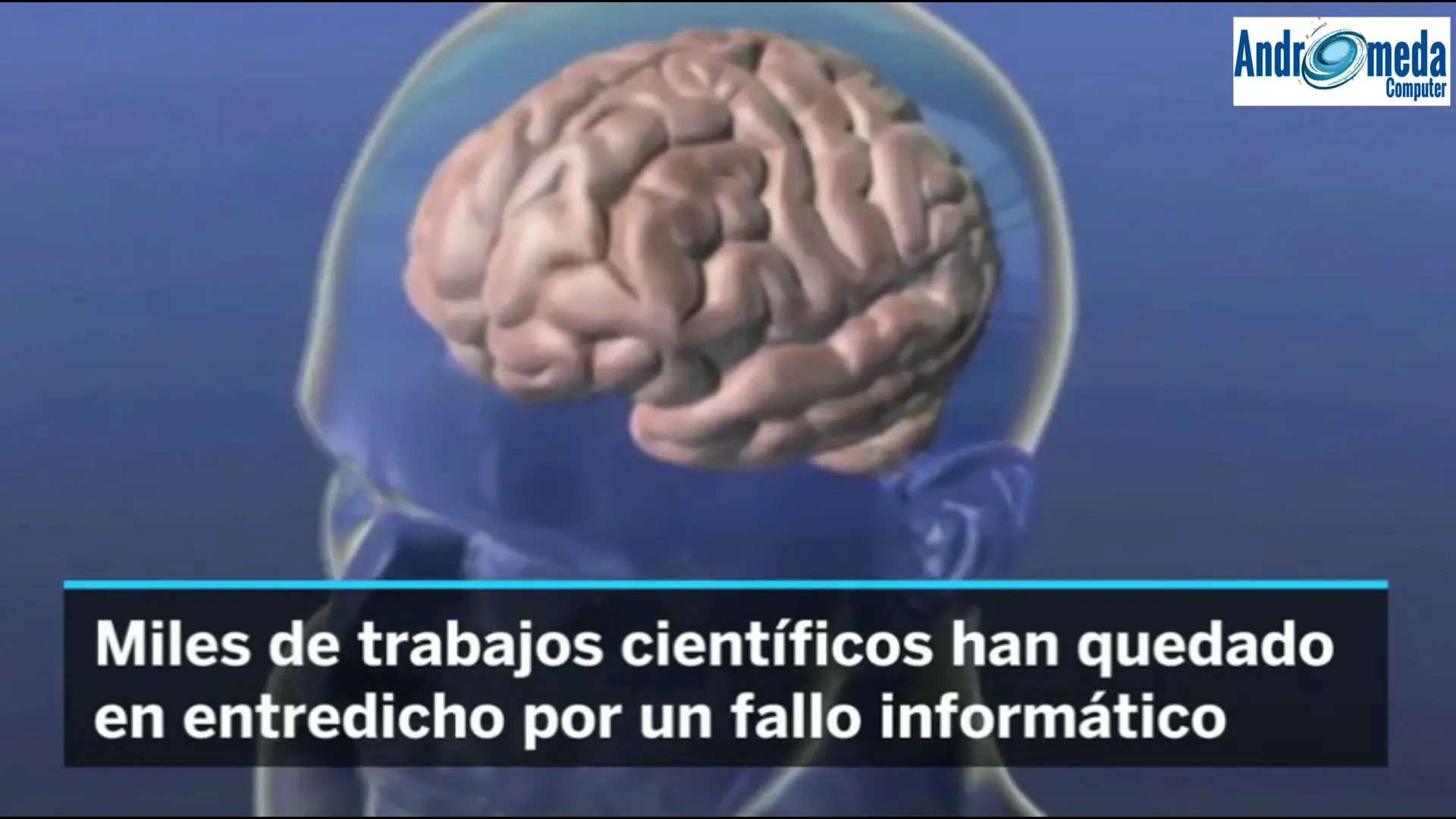 Una revisión invalida miles de estudios del cerebro