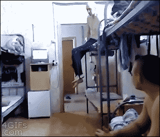 los gifs
