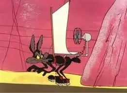 coyote