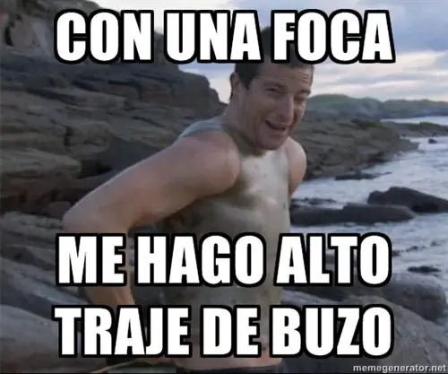 Bear: El mas grande!