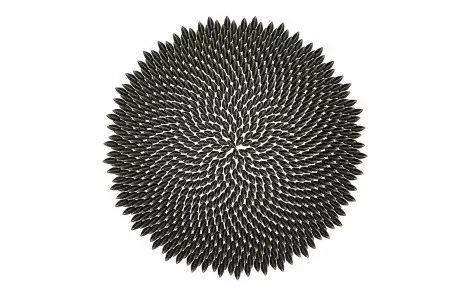 matematica divina