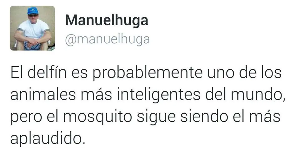 tweets