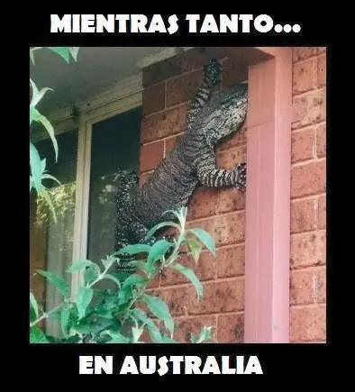 imagenes