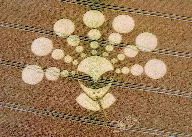El Crop Circle más bizarro que he visto