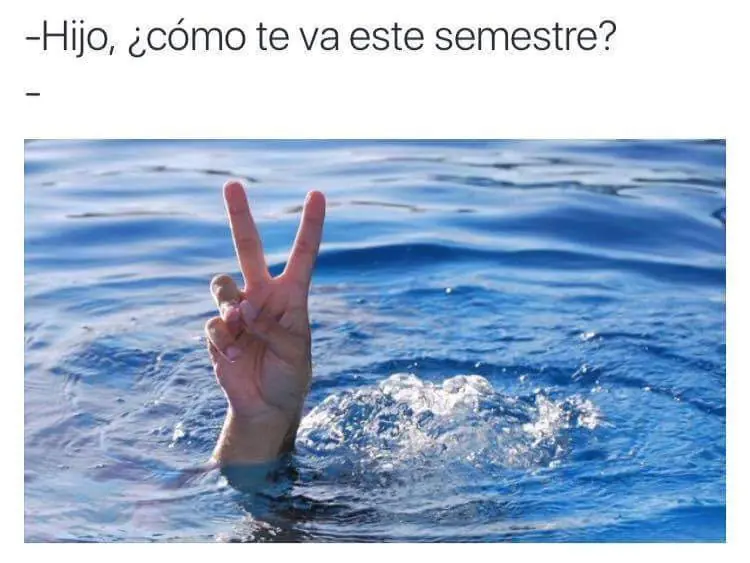 imagenes