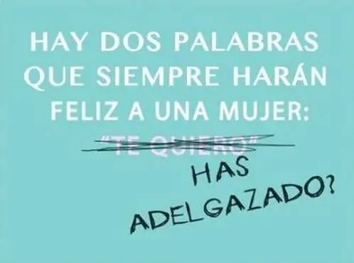 Imagenes de humor lince