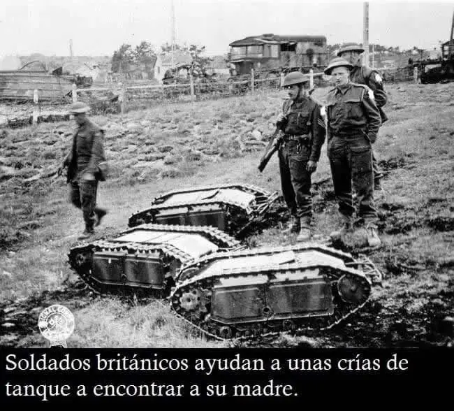 49 Imágenes de humor, no amargados [memes y más]