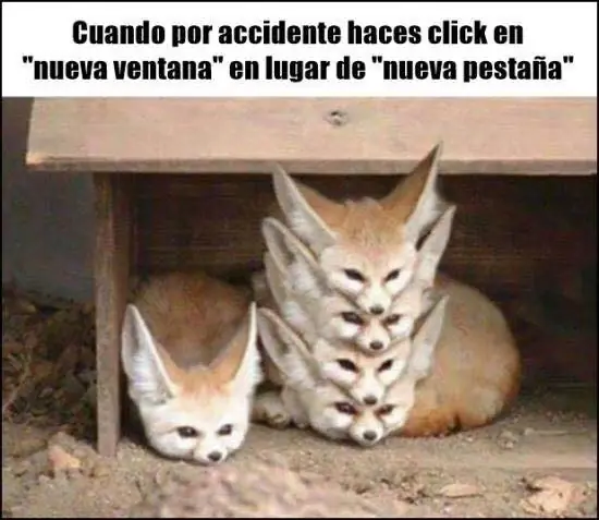 humor