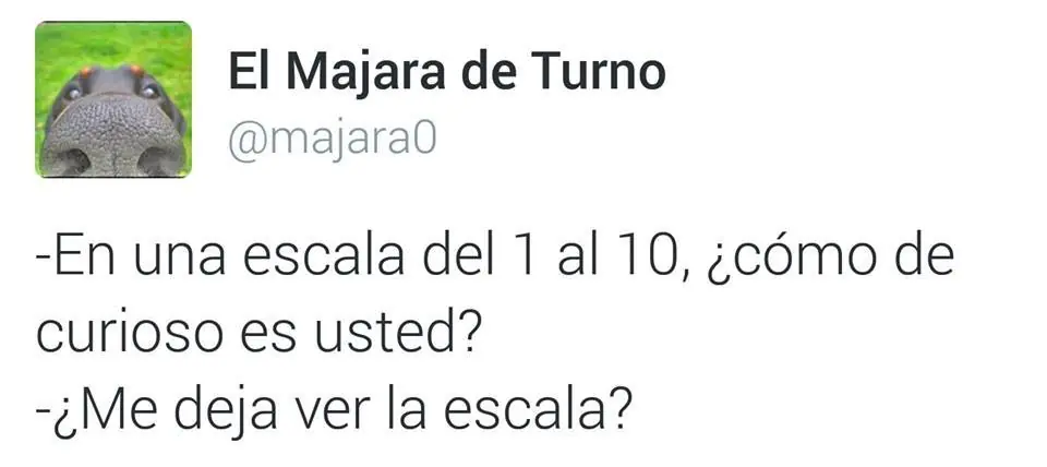 tweets