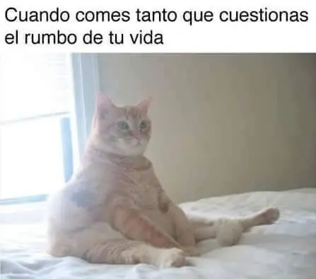 imagenes