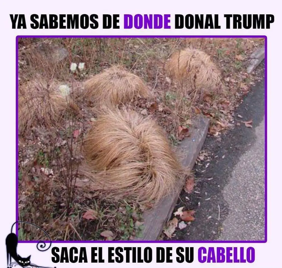 imagenes