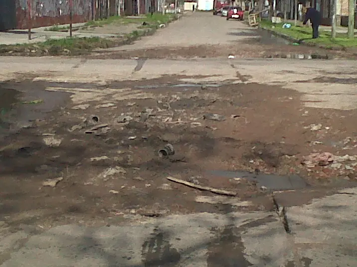 bache bache